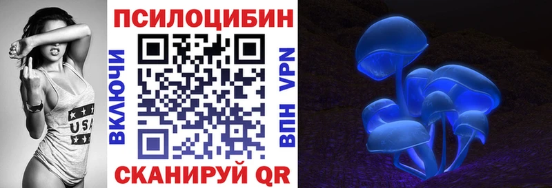Галлюциногенные грибы Psilocybine cubensis Грозный